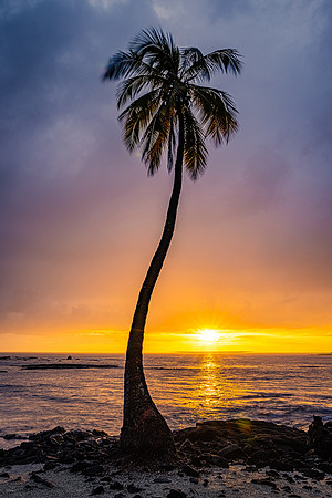 Lone Palm Sunset, Hawaii