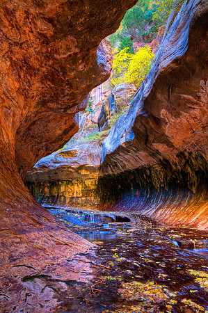 Subway Ceiling, Zion NP