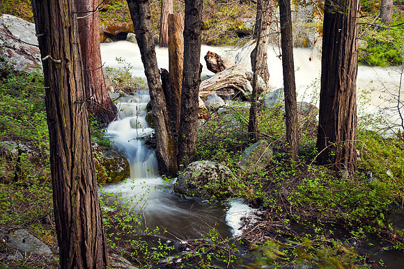 Overflow, Kaweah River-Sequoia NP