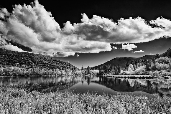 Autumn Shoreline, B&W