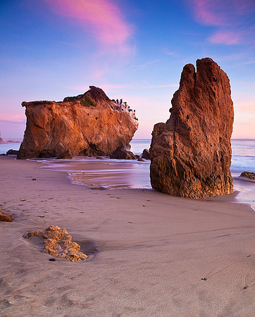 Cormorant Roost After Sundown, Malibu