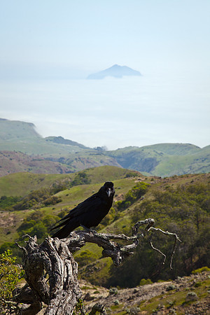 Bird's Eye View of Anacapa Island from Montanon Ridge