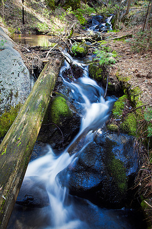 Whiskeylog Camp Creek, Sequoia NP