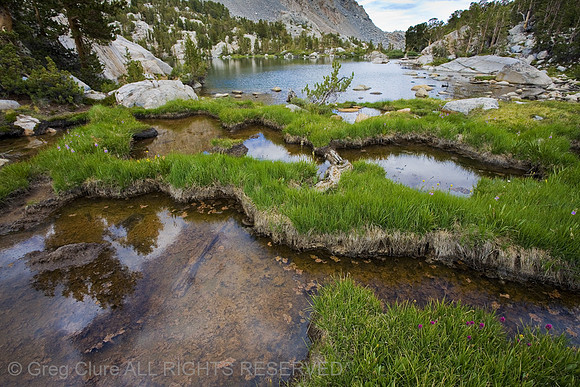 Wonder Lakes Pools