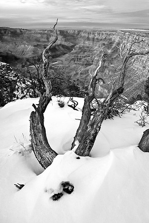 Winter Blanket, Desert View - Grand Canyon, B&W