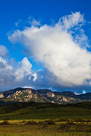 Boney Mountain Spring