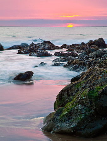 Pink Print Sunset