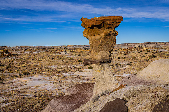 Bisti Badlands/De-Na-Zin Wilderness Hoodoo Landscape