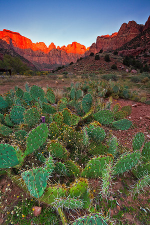 Towers of the Virgin, Zion NP