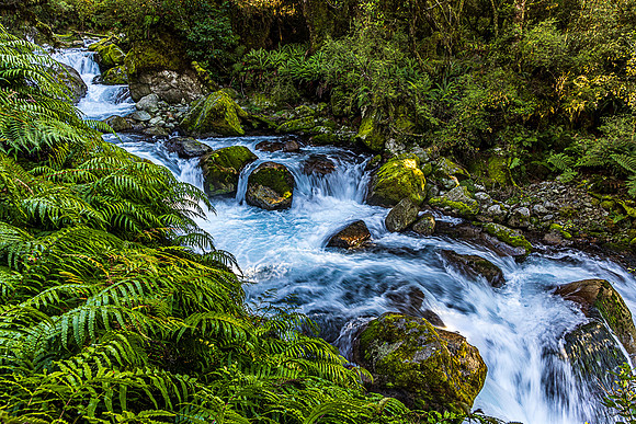 Marian Creek, Fiordland National Park