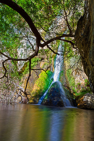 Reflecting Pool, Darwin Falls