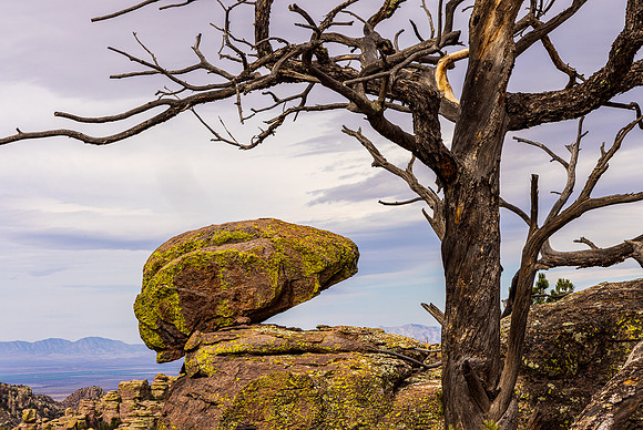 Alien Head Rock, Chiricahua NM