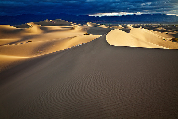 Dune Sunrise