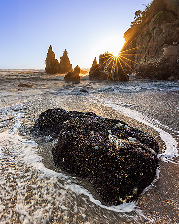 Sunstar and Seastacks, Westland