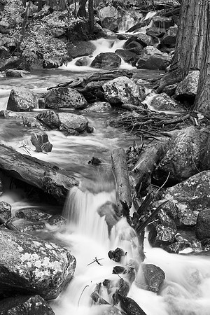 Cathedral Creek