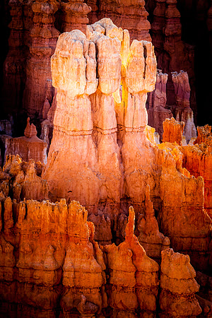 Hoodoo Highlight, Bryce Canyon