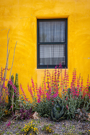 Barrio Viejo #14, Tucson, AZ