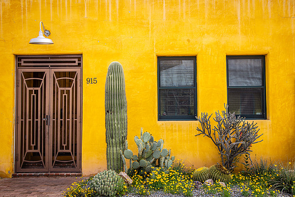 Barrio Viejo #16, Tucson, AZ