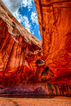 The Golden Cathedral in Neon Canyon