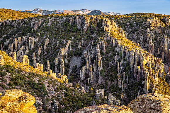 Chiricahua Golden Light, Chiricahua NM