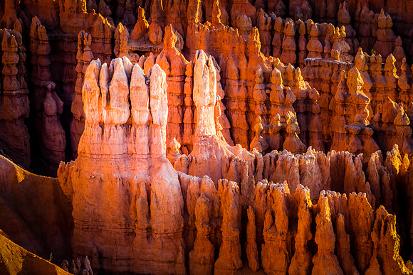 Hoodoo Spotlight, Bryce Canyon