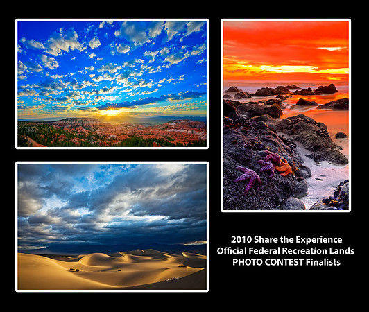2010 Share the Experience