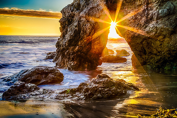 Malibu Stars