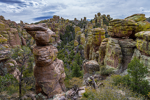 Chiricahua Landscape, Chiricahua NM