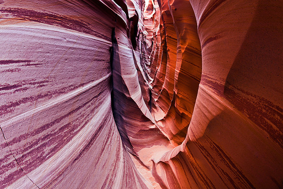 Fisheye's View Into Zebra Slot, Grand Staircase Escalante