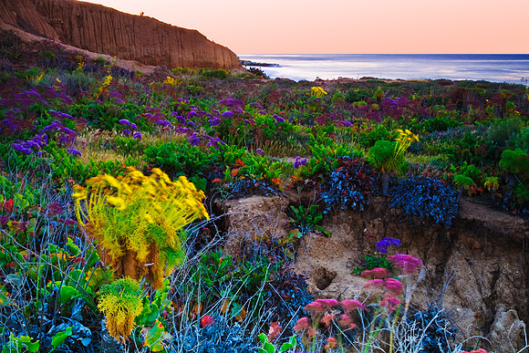 Blustery Sunrise, Leo Carrillo State Beach