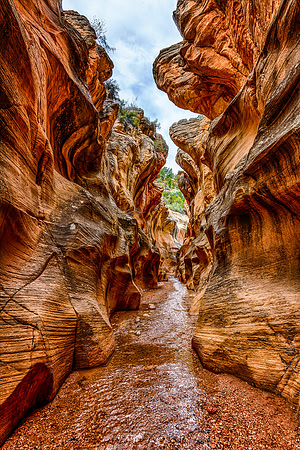 Scaloped Passage, Willis Creek Narrows