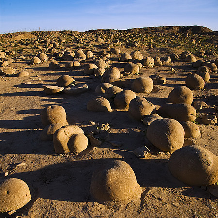 The Pumpkin Patch, Ocotillo Wells SVRA