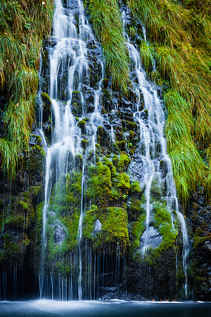 Grasses & Mosses, Mossbrea Falls