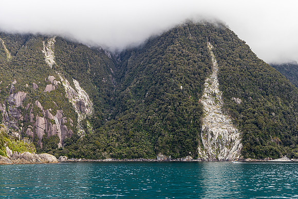 Landslide Scares, Milford Sound