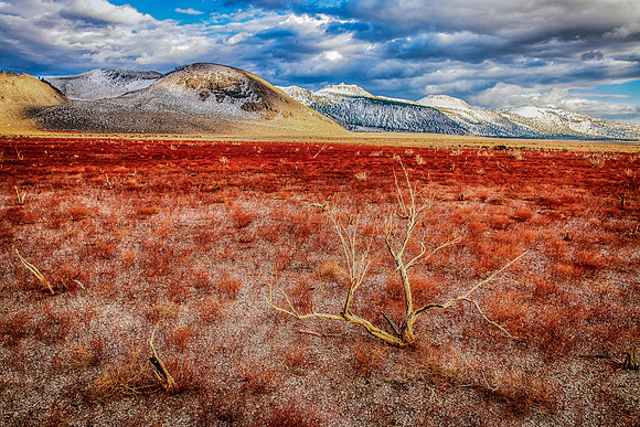 Martian Habitat, Mono Basin