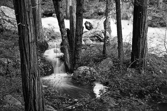 Overflow B&W, Kaweah River-Sequoia NP