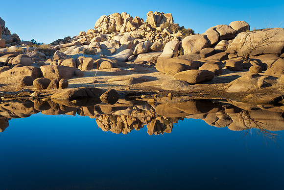 Desert Mirage, Joshua Tree NP