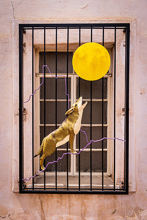 Coyote Window, Mission San Xavier del Bac, Tucson, AZ