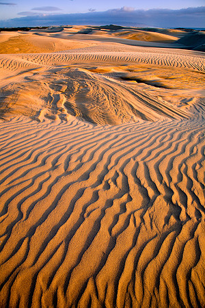Oceano Dunes At Pismo State Beach