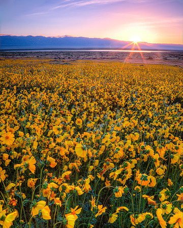 Waking-up, Carrizo Plain National Monument