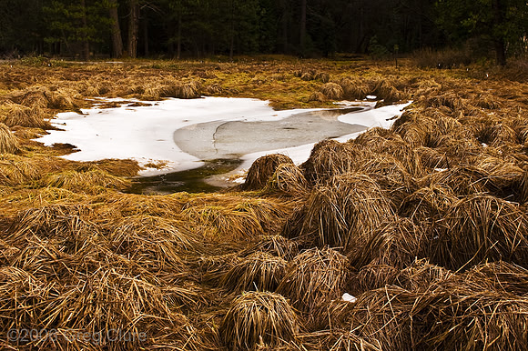 Haystacks