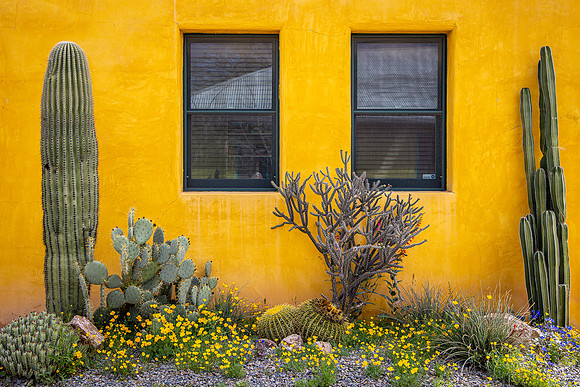 Barrio Viejo #15, Tucson, AZ