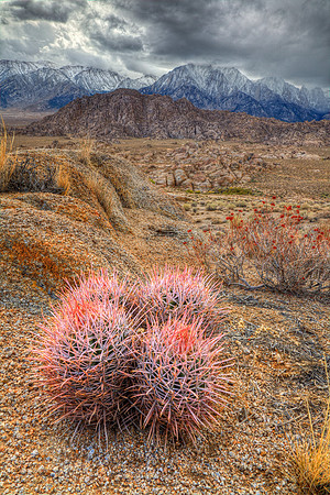 Cottontop to Mountain Top, Alabama Hills