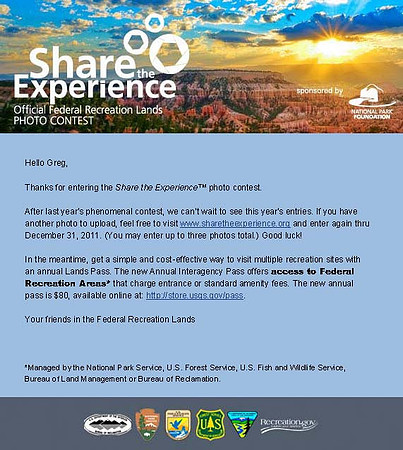 SHARETHEEXPERIENCE.ORG E-mail Thank You Note