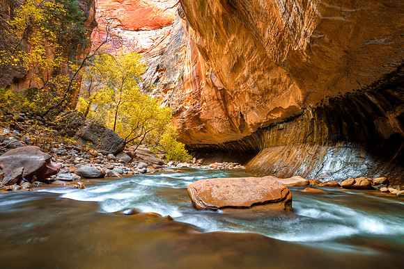 Carved Wall, Zion Narrows