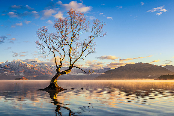 Picturesque Perch, Lake Wanaka