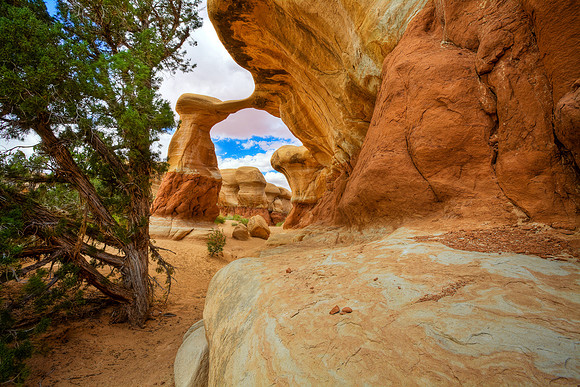 Devil's Garden Arch, Grand Staircase Escalante