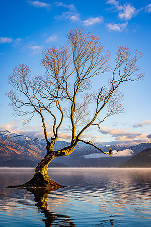 Perfect Perch, Lake Wanaka