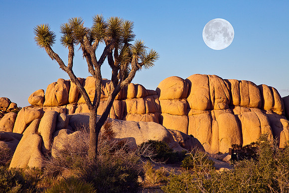 Jumbo Rocks Moonscape, Joshua Tree National Park