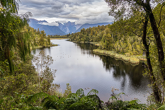 The View of Views, Lake Matheson, Fox Glacier
